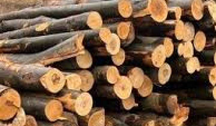 Fotka - Oznam - ULaPS-PS Vyšný Kazimír